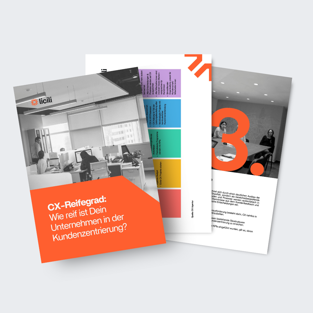 CX-Reifegrad Download